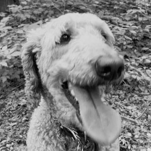 Meet your Posher, Haley